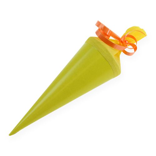 Floristik24 Mini-Zuckertüten bunt 12cm 10St