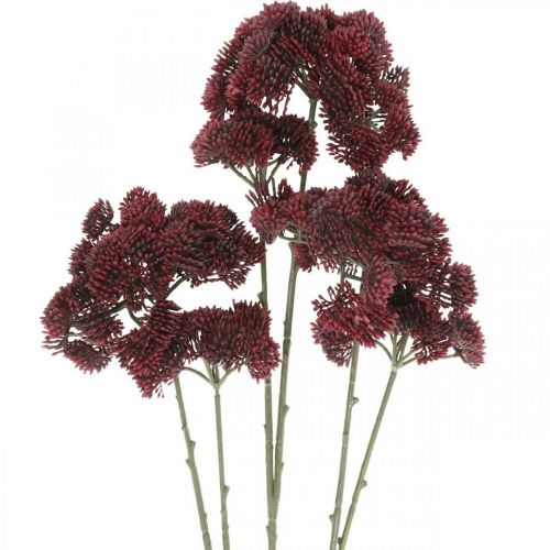 Floristik24 Sedum künstlich Rot Fetthenne Herbstdeko 70cm 3St