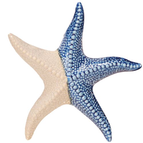 Floristik24 Seestern Porzellan Sand Blau Tischdeko Maritim Ø15cm 2St