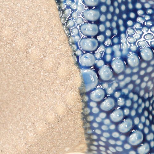 Floristik24 Seestern Porzellan Sand Blau Tischdeko Maritim Ø15cm 2St