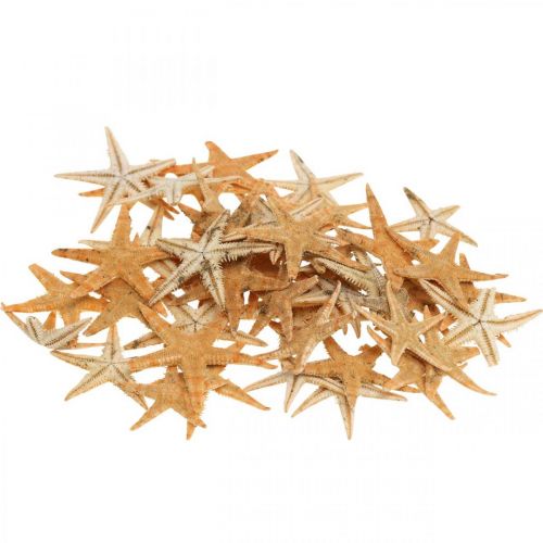 Floristik24 Seesterne Streudeko Home Deko, Natur, Starfish Mini 2-4cm 50St