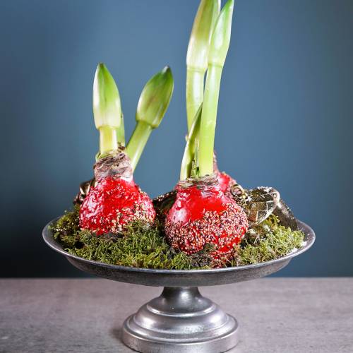 Floristik24 Servier-Teller am Fuß Silber Antik Ø31cm H14cm