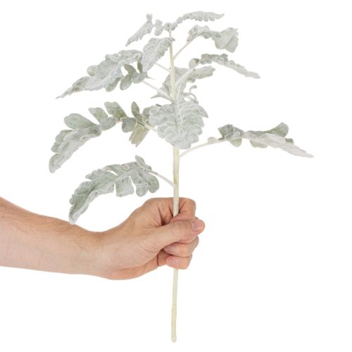 Künstlicher Senecio Zweig Silberblatt aus Kunststoff 45cm im 3er-Set | Floristik24.ch