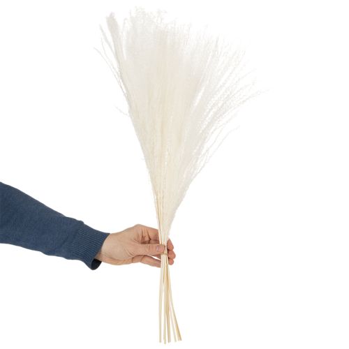 Artikel Trockenblumen Silbergras Elegante natürliche Dekoration für Zuhause und Büro 70cm 10St