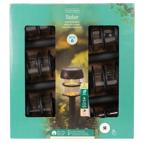 Solarleuchten Set mit Erdspiess, Kunststoff, Schwarz, Höhe 35 cm, 6 Stück | Floristik24.ch