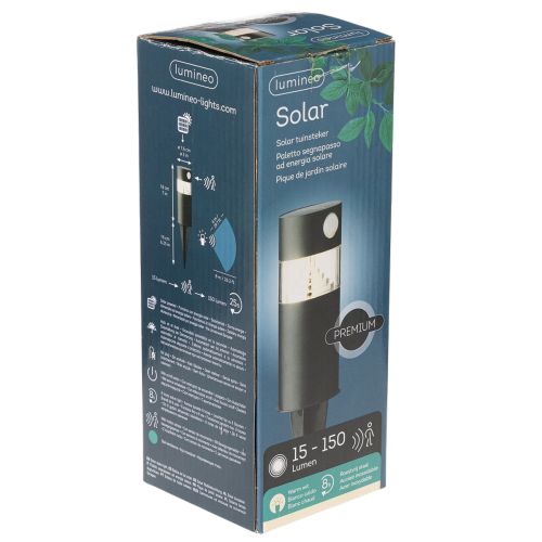 Solarleuchte aus Edelstahl mit Bewegungsmelder 34 cm, Schwarz | Floristik24.ch