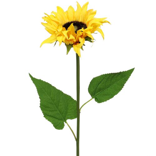 Artikel Langstielige Sonnenblume Gelb 53cm