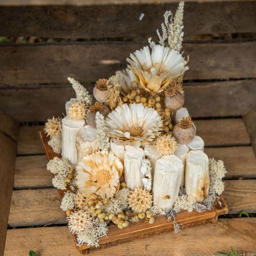 Floristik24 Sonnenblumenstamm 20cm Weiß 12 St