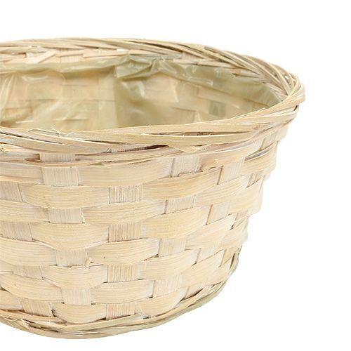 Floristik24 Spanschale rund geweißt 8St. Ø20cm