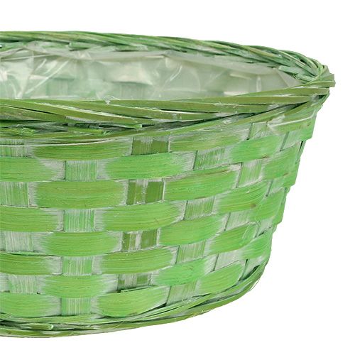 Artikel Spanschale rund mehrfarbig Ø25cm 6 St