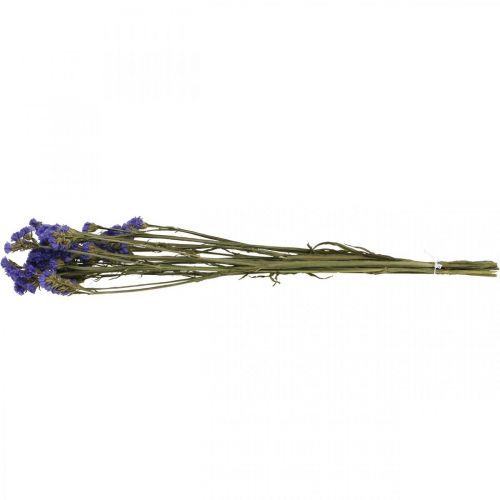 Floristik24 Strandflieder im Bund, Trockenblumen, Meerlavendel, Statice Tatarica Blau L46–57cm 23g
