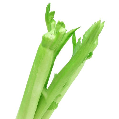 Floristik24 Sellerie Deko 34cm