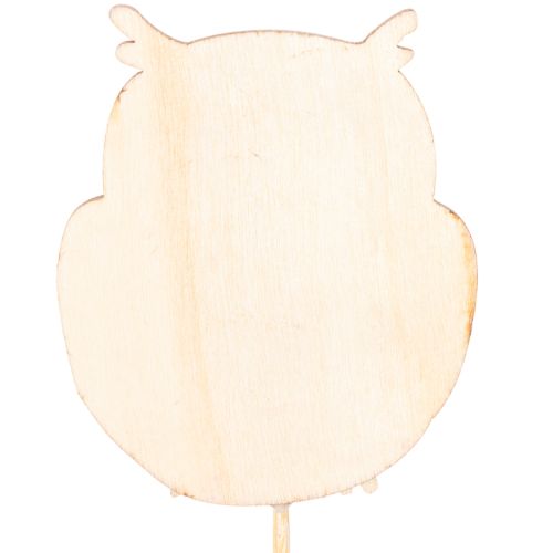 Pflanzenstecker Holz-Eulen 12er-Set, 31 cm, bunte Herbstdeko | Floristik24.ch