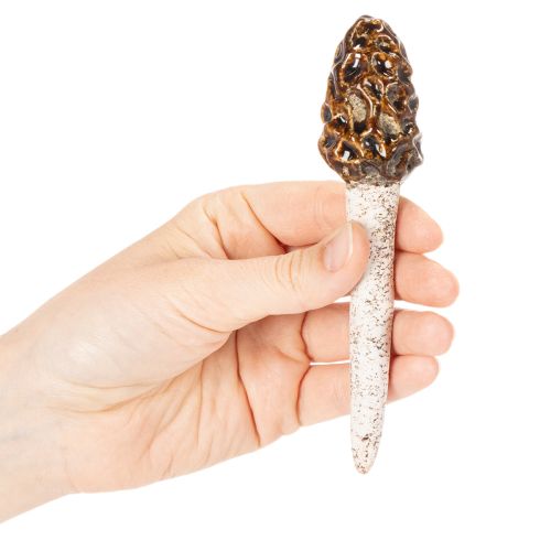 Künstlicher Morchel-Pilz aus Keramik im 2er-Set, 13 cm, Braun | Floristik24.ch