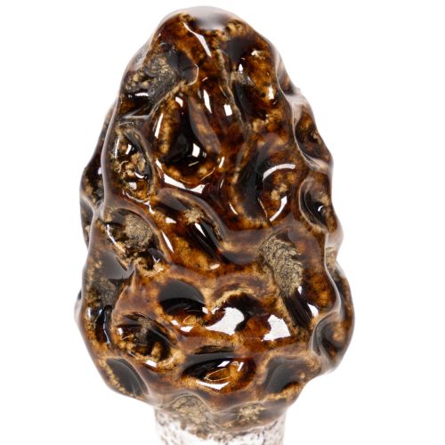 Künstlicher Morchel-Pilz aus Keramik im 2er-Set, 13 cm, Braun | Floristik24.ch