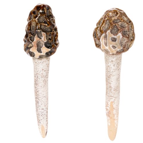 Künstlicher Morchel-Pilz aus Keramik im 2er-Set, 13 cm, Braun | Floristik24.ch