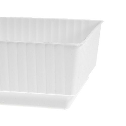 Floristik24 Steckschale Lara 15cm x 8cm x 4cm 10St