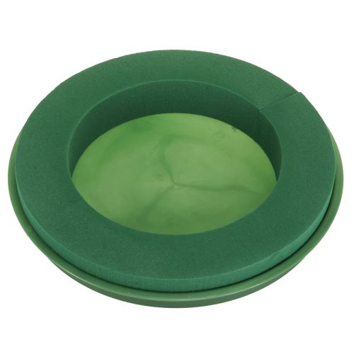 Floristik24 Steckschaum Kranz mit Schale Nasssteckschaum Ø29cm 2 St
