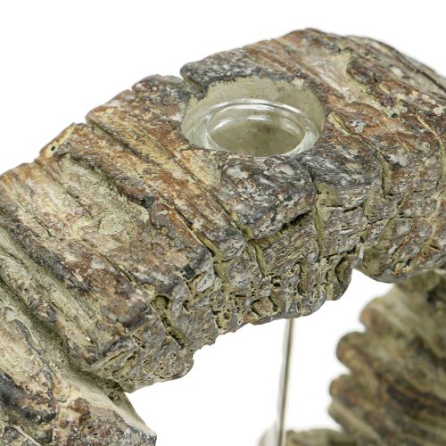 Floristik24 Betonvase mit Reagenzglas Ring Ø16cm