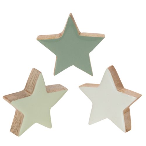 Holzstern Deko 5 cm Mint und Weiss 9er-Set online kaufen | Floristik24.ch