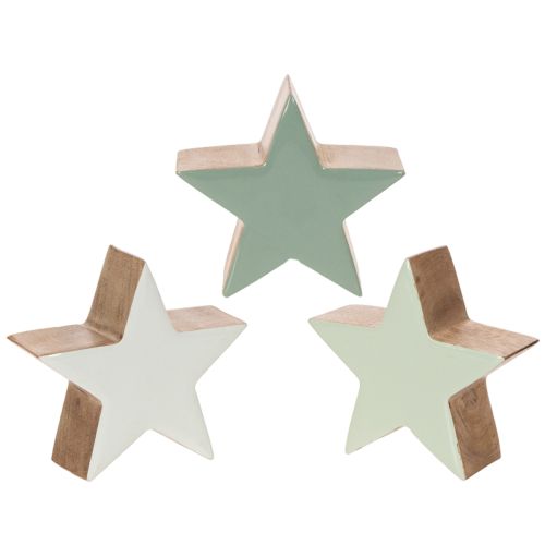 Deko Holzsterne 10cm Mintgrün und Weiss 3er-Set online kaufen | Floristik24.ch