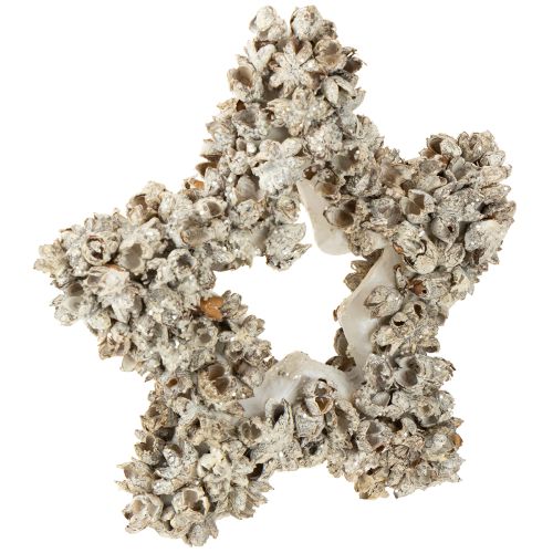 Floristik24 Stern zum Aufhängen Weihnachtsdeko Weiß, Glitter Ø15cm