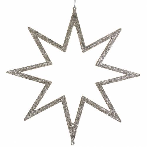 Floristik24 Weihnachtsdeko Stern Christbaumschmuck Champagner Glitter 22cm 12St