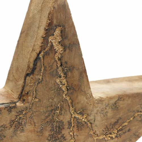 Floristik24 Weihnachtsstern stehend Mango Natur, Golden 20×20×3,5cm