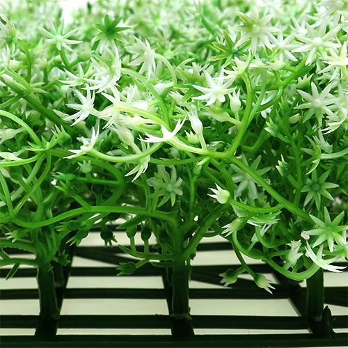 Floristik24 Sternblütenmatte 25x25cm Creme