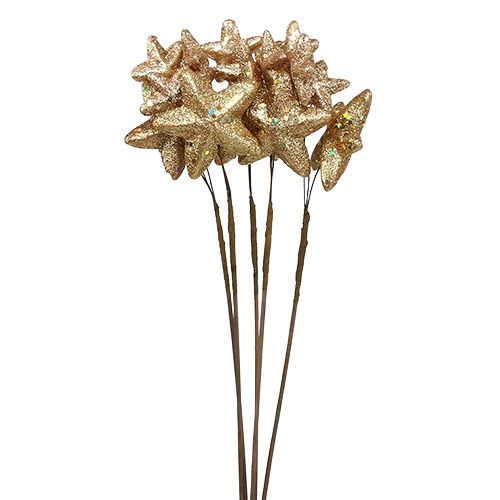 Floristik24 Sterne gebündelt mit Glitzer Gold 60cm 5St