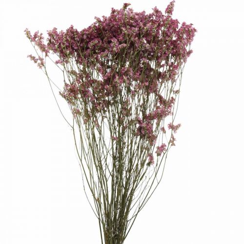 Artikel Statice, Strandflieder, Trockenblume, Wildblumen-Bund Pink L52cm 23g