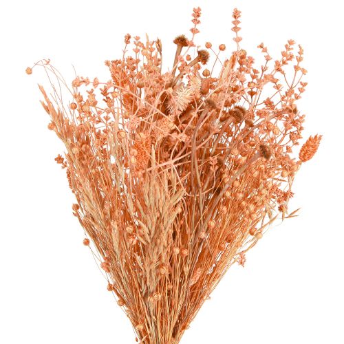 Boho Trockenblumenstrauß Orange Apricot Deko 45cm 80g