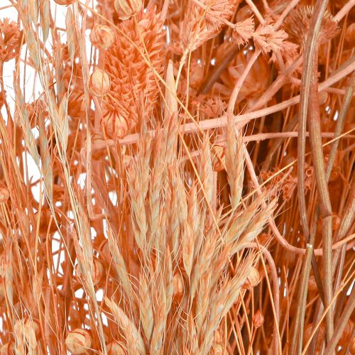 Artikel Boho Trockenblumenstrauß Orange Apricot Deko 45cm 80g