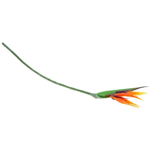 Floristik24 Strelitzie Paradiesvogelblume 95cm