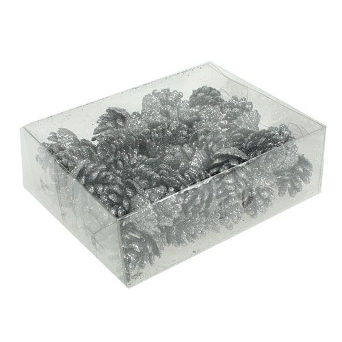 Floristik24 Zapfen Tannenzapfen Silber 3cm 48 St