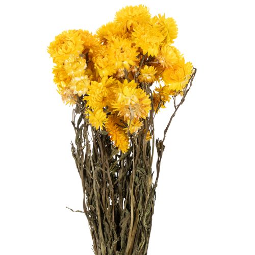 Floristik24 Strohblume Gelb getrocknet Helichrysum Trockenblumen Deko Bund 100g