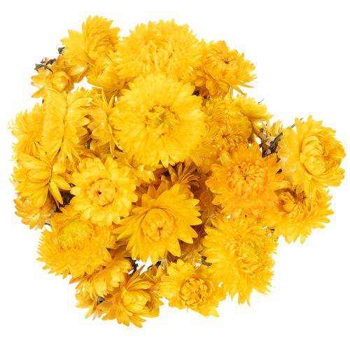 Artikel Strohblume Gelb getrocknet Helichrysum Trockenblumen Deko Bund 100g