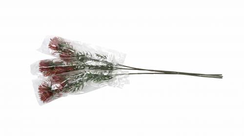 Floristik24 Xanthium-Zweig Bordeaux 69cm 3St