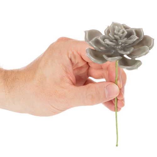 Künstliche Sukkulenten aus Wachs mit Drahtkern, 8 cm, graugrün, 8er-Set | Floristik24.ch