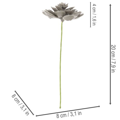 Künstliche Sukkulenten aus Wachs mit Drahtkern, 8 cm, graugrün, 8er-Set | Floristik24.ch