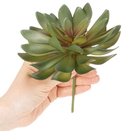 Künstliche Sukkulenten grün aus Kunststoff 18 cm 3er-Set für Innenräume | Floristik24.ch