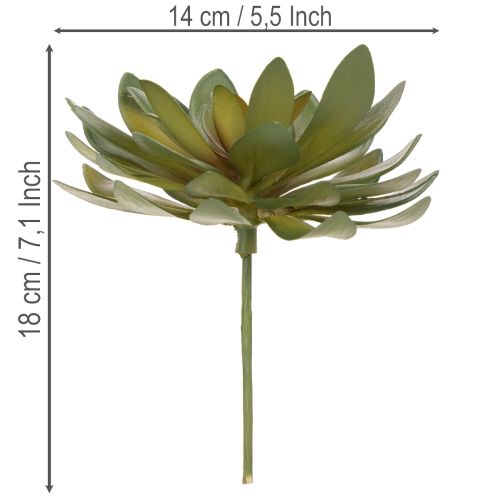 Künstliche Sukkulenten grün aus Kunststoff 18 cm 3er-Set für Innenräume | Floristik24.ch
