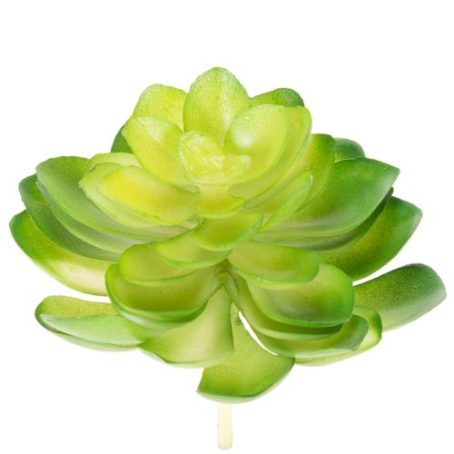 Künstliche Sukkulenten grün 10 cm Set 4 Stück für Schale oder Vase