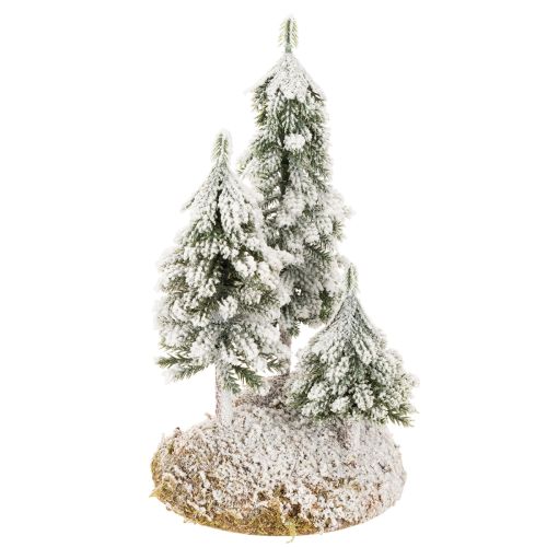 Schneetannen 29cm mit Moosunterlage für Tisch- und Weihnachtsdekoration | Floristik24.ch