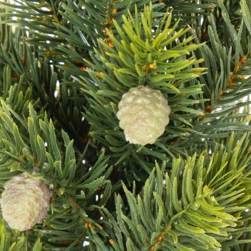 Künstlicher Mini-Weihnachtsbaum im Jutesack, 38 cm, für Innenräume | Floristik24.ch