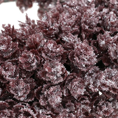 Floristik24 Tannenzapfenkranz Ø25cm Burgund geeist