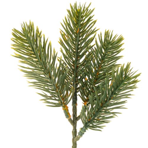 Künstlicher Tannenzweig aus grünem Kunststoff für winterliche Dekorationen 25 cm, 24 Stück online kaufen | Floristik24.ch
