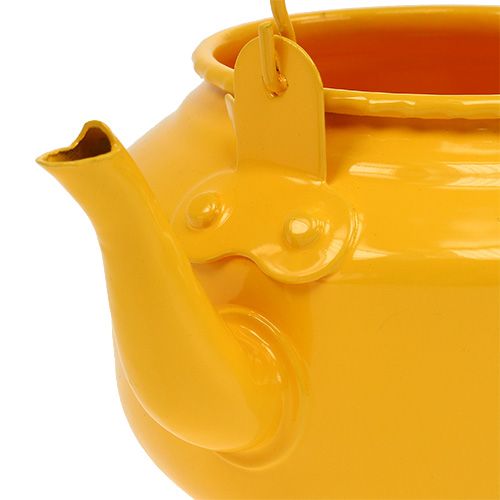 Teekanne Ø9cm H10cm Dottergelb | Floristik24.ch