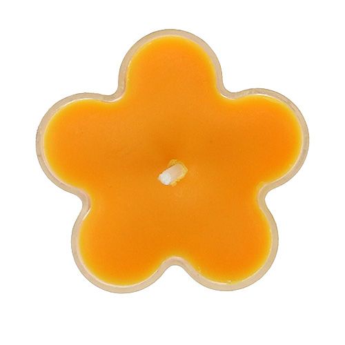 Floristik24 Teelicht als Blume mit Duft 4,5x2cm 6St