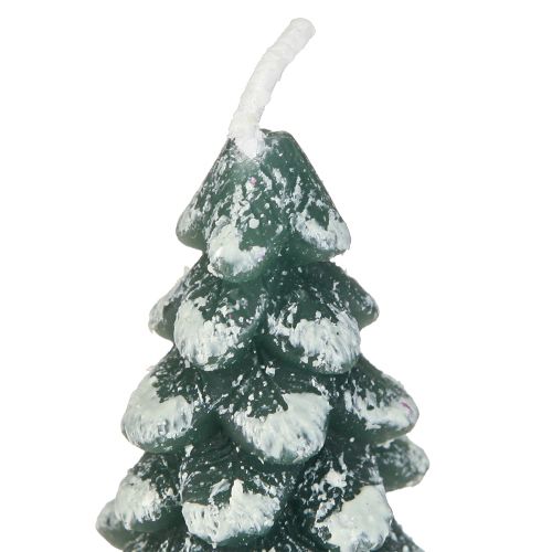 Floristik24 Teelichter Weihnachten Tannenbaum Grün Beschneit 6,5cm 8St